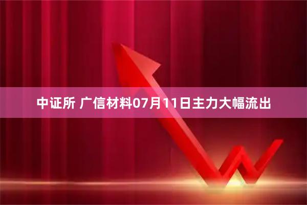 中证所 广信材料07月11日主力大幅流出