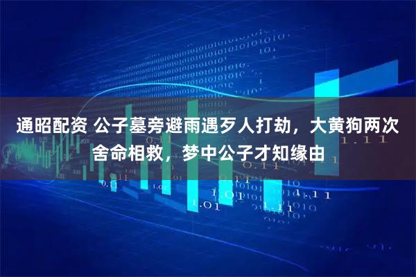 通昭配资 公子墓旁避雨遇歹人打劫，大黄狗两次舍命相救，梦中公子才知缘由