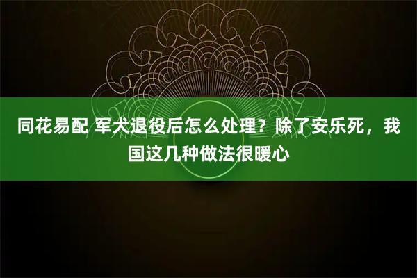 同花易配 军犬退役后怎么处理？除了安乐死，我国这几种做法很暖心