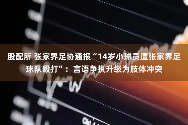 股配所 张家界足协通报“14岁小球员遭张家界足球队殴打”：言语争执升级为肢体冲突