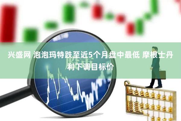 兴盛网 泡泡玛特跌至近5个月盘中最低 摩根士丹利下调目标价